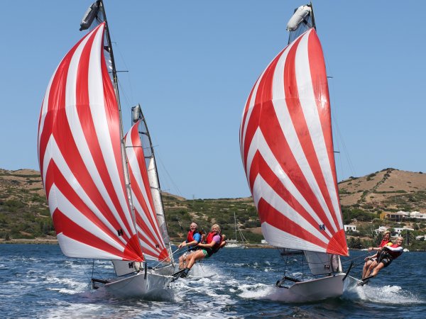 RS 800 - Twin Trapeze